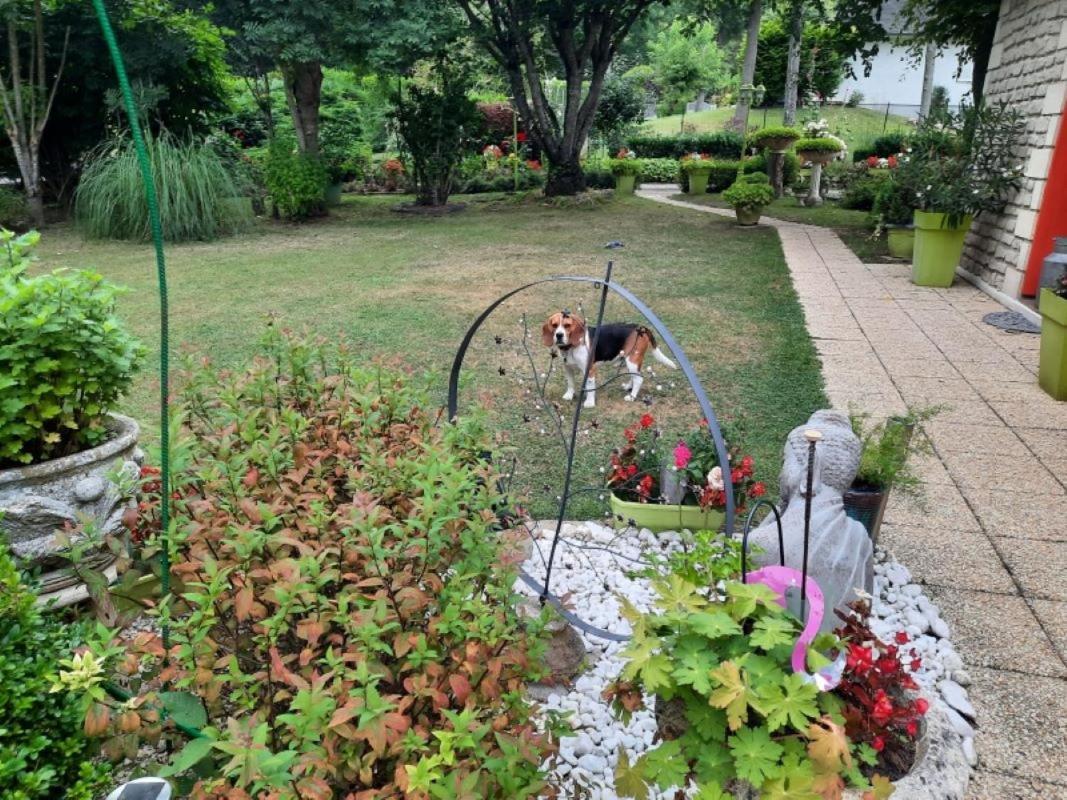 Bed and Breakfast Chambre D Hote Les Bosquets Cauge Екстер'єр фото
